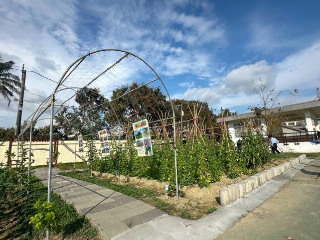 113年成果評比金獎：燕巢區鳳雄社區發展協會-橫山me菜園